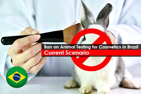 Ban on Animal Testing for Cosmetics in Brazil: Current Scenario