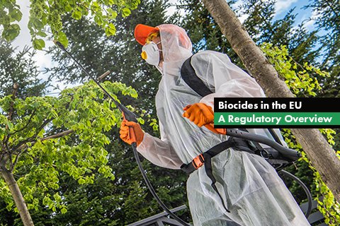 Biocides in the EU – A Regulatory Overview