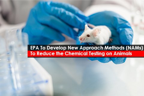 EPA To Develop New Approach Methods (NAMs) To Reduce the Chemical Testing on Animals 